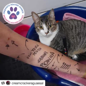 Cream Cracker com Logo